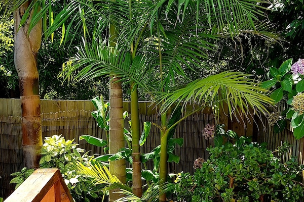 Secret Garden