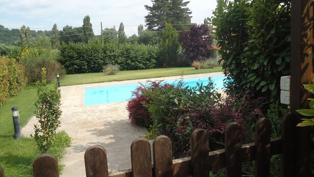 Piscina circondata da vegetazione rigogliosa e una recinzione in legno.