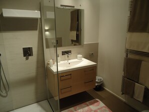 Combined shower/tub, hair dryer, bidet, towels