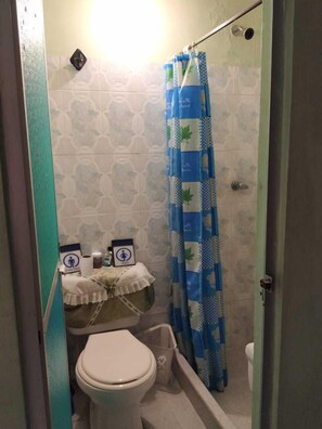Ducha, cabezal de ducha tipo lluvia y toallas