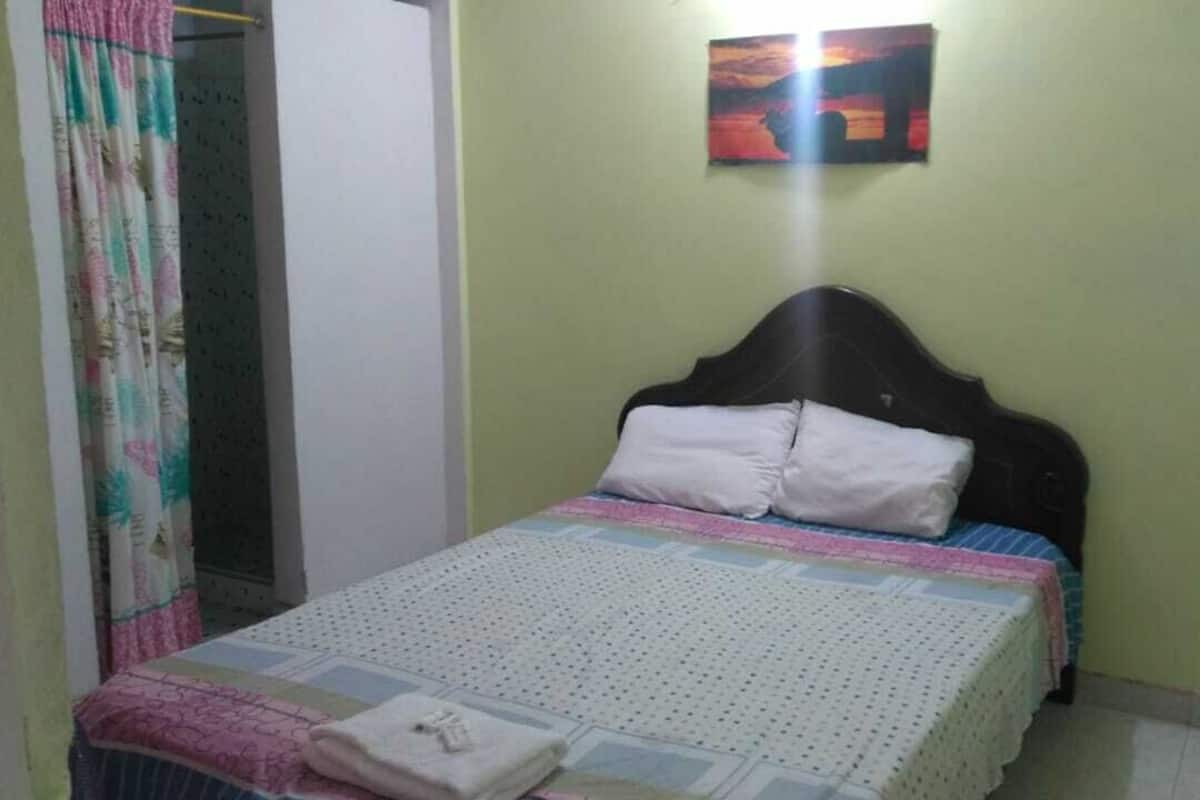A bedroom with a bed, a curtain, a painting on the wall, and a door.
