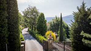 A narrow road flanked by tall trees and a stone gate leading to a mountainous landscape. - Villa immersed in the nature, relax and privacy, private pool and garden (Castiglion Fiorentino)