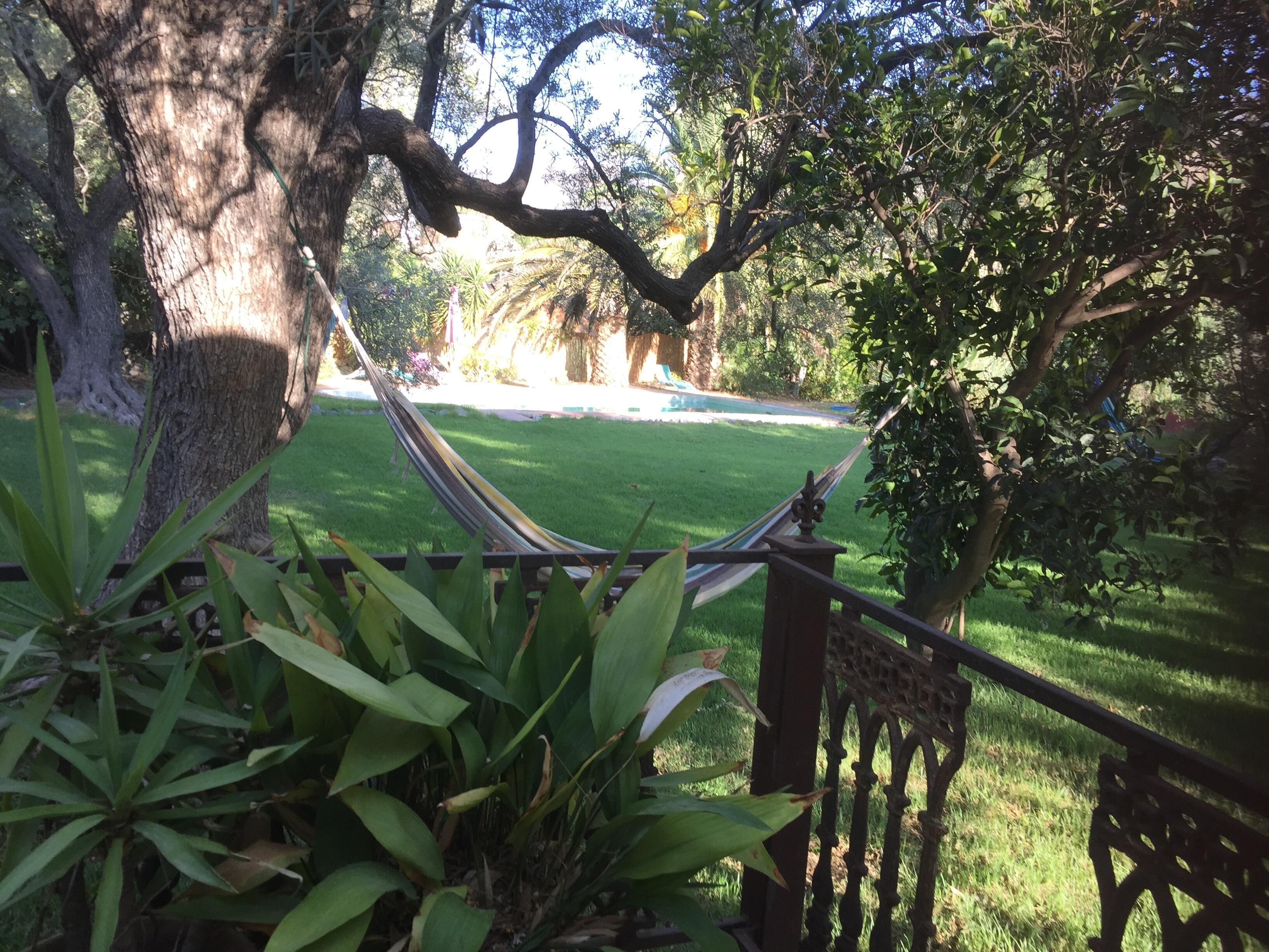 A hammock tied between two trees in a well-maintained garden with a pool in the background.