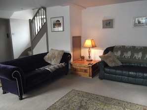 TV, DVD player, books, music library