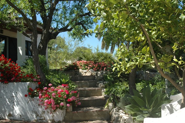 Terrein van de accommodatie