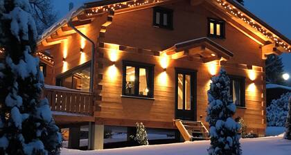 5 * log cabins with sauna, fireplace, terrace, barbecue etc. in alpine chalet style