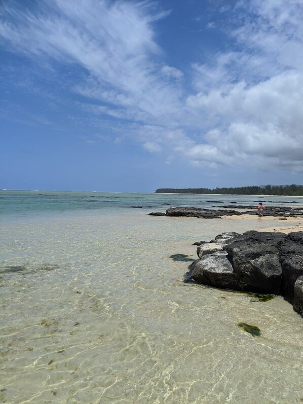 En la playa y toallas de playa