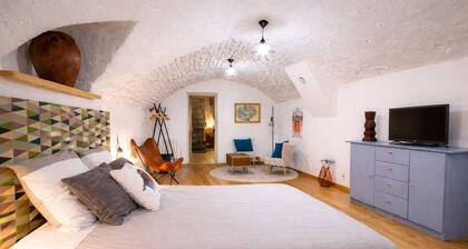 Duplex 80 m² pedestrian historic center Dijon caveau bourguignon parking 