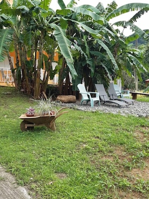 Property grounds - Ô Fil de l'Eau: Ô Ti Ka / Between mountain and river / Wifi, air conditioning: 2 to 4 people (POINTE-NOIRE)