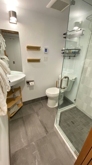 Dusche, Haartrockner, Handtücher