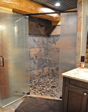 Combined shower/tub, hair dryer, towels