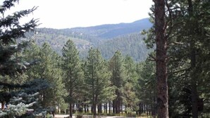 A forested area with tall pine trees and a mountain in the background. - Outdoor Fire Pit, Wildlife Watching, Monte Verde Lake Ponderosa (Angel Fire)