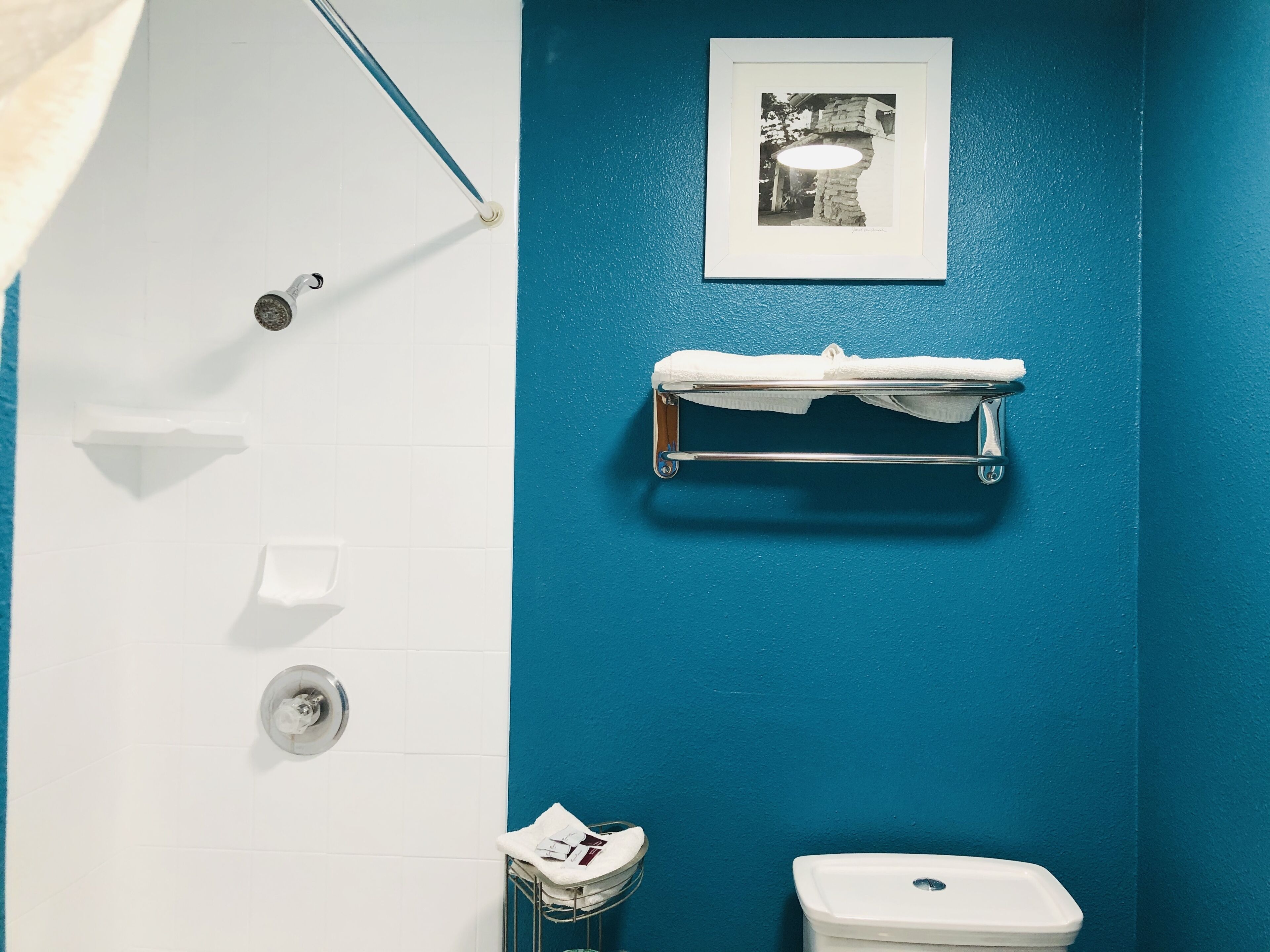 Un baño con pared azul, azulejos blancos, un cuadro enmarcado, un perchero, un inodoro y una zona de ducha.