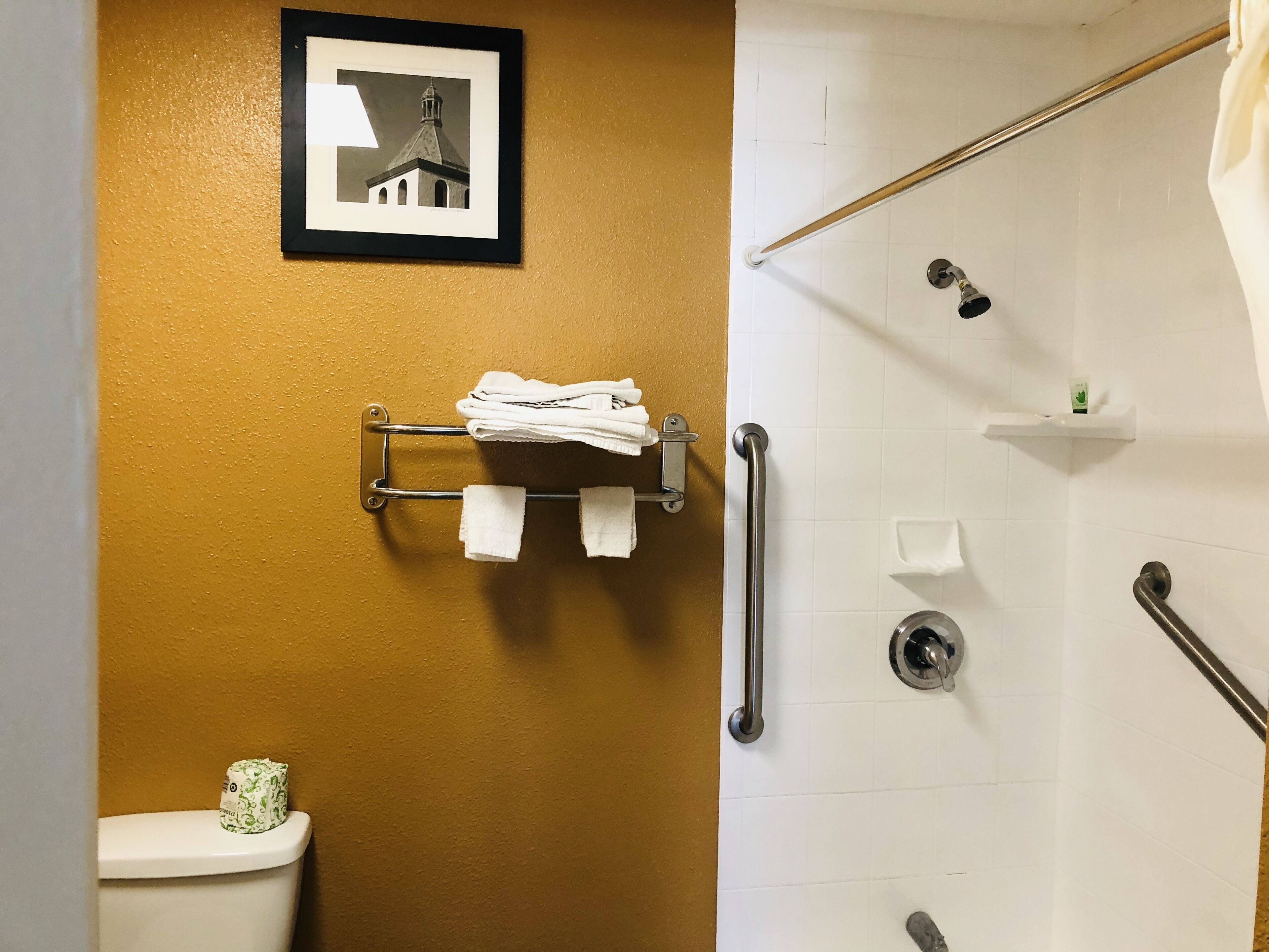 Ein Badezimmer mit Toilette, einem Handtuchhalter mit Handtüchern, einem gerahmten Bild an der Wand und einer Dusche mit Haltestangen.