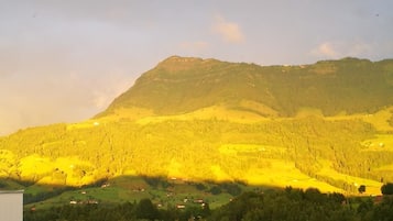 公寓 (Rigiblick) | 客房景观