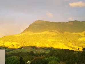 Apart Daire (Rigiblick) | Odadan manzara