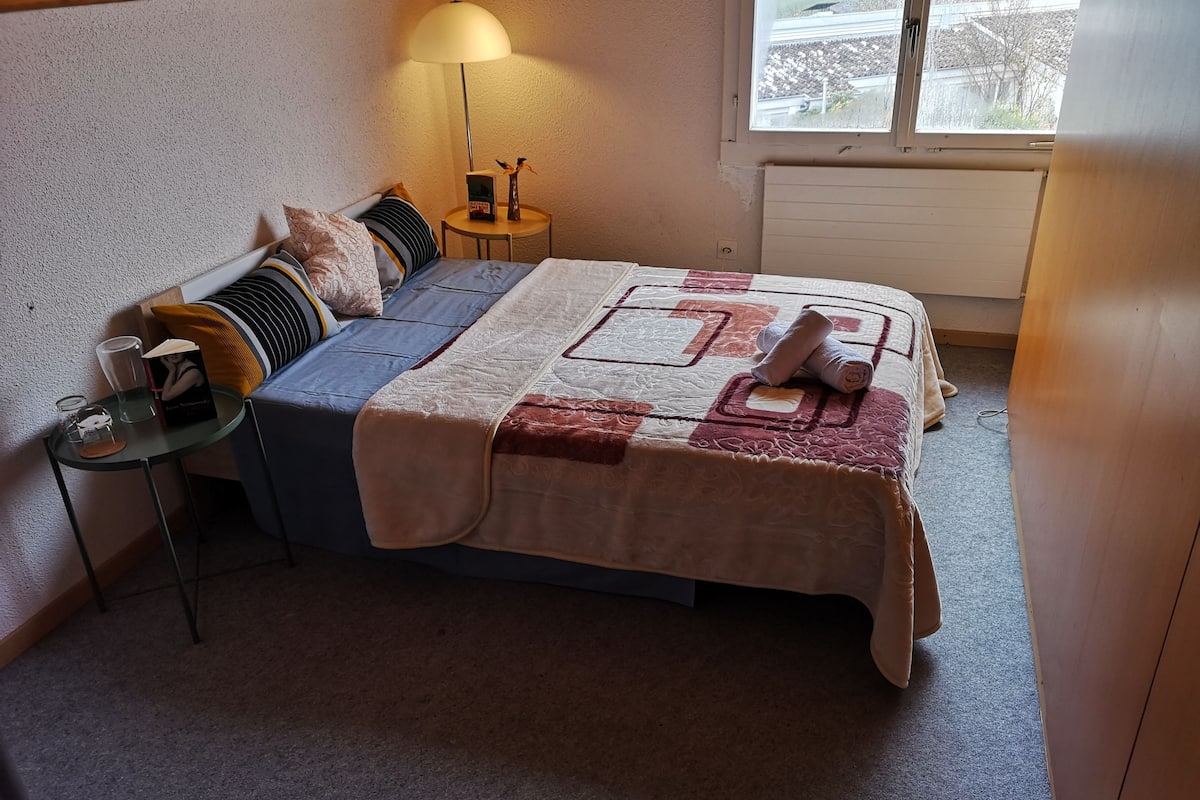 Deluxe Double Room | Pemandangan dari bilik