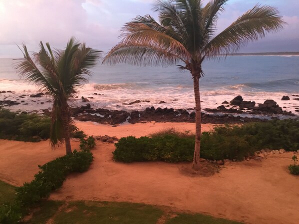 A beach with palm trees, rocky shoreline, and a path leading to the water.
