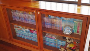 Una estantería de madera con varias repisas llenas de libros y peluches.