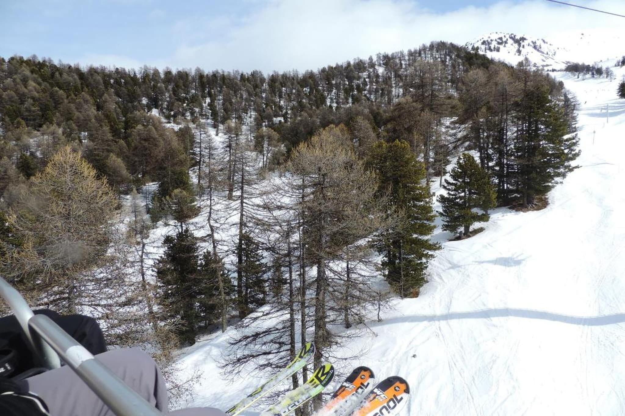 Eine Skipiste mit Bäumen und einem Berg im Hintergrund.