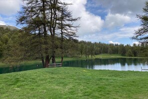 Un cadre paisible au bord du lac, avec un banc et une pelouse.