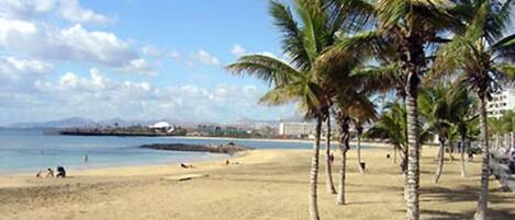 A beach with palm trees and a clear sky.