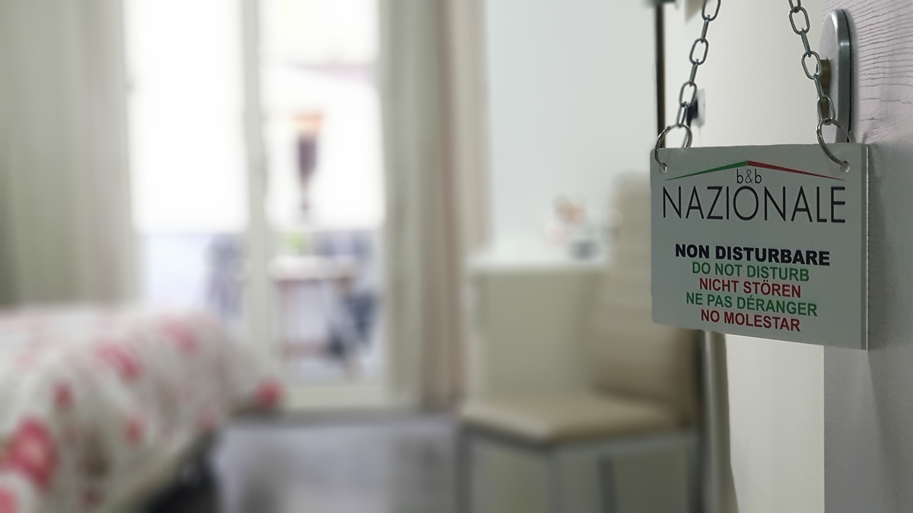 Photo - Nazionale Dream