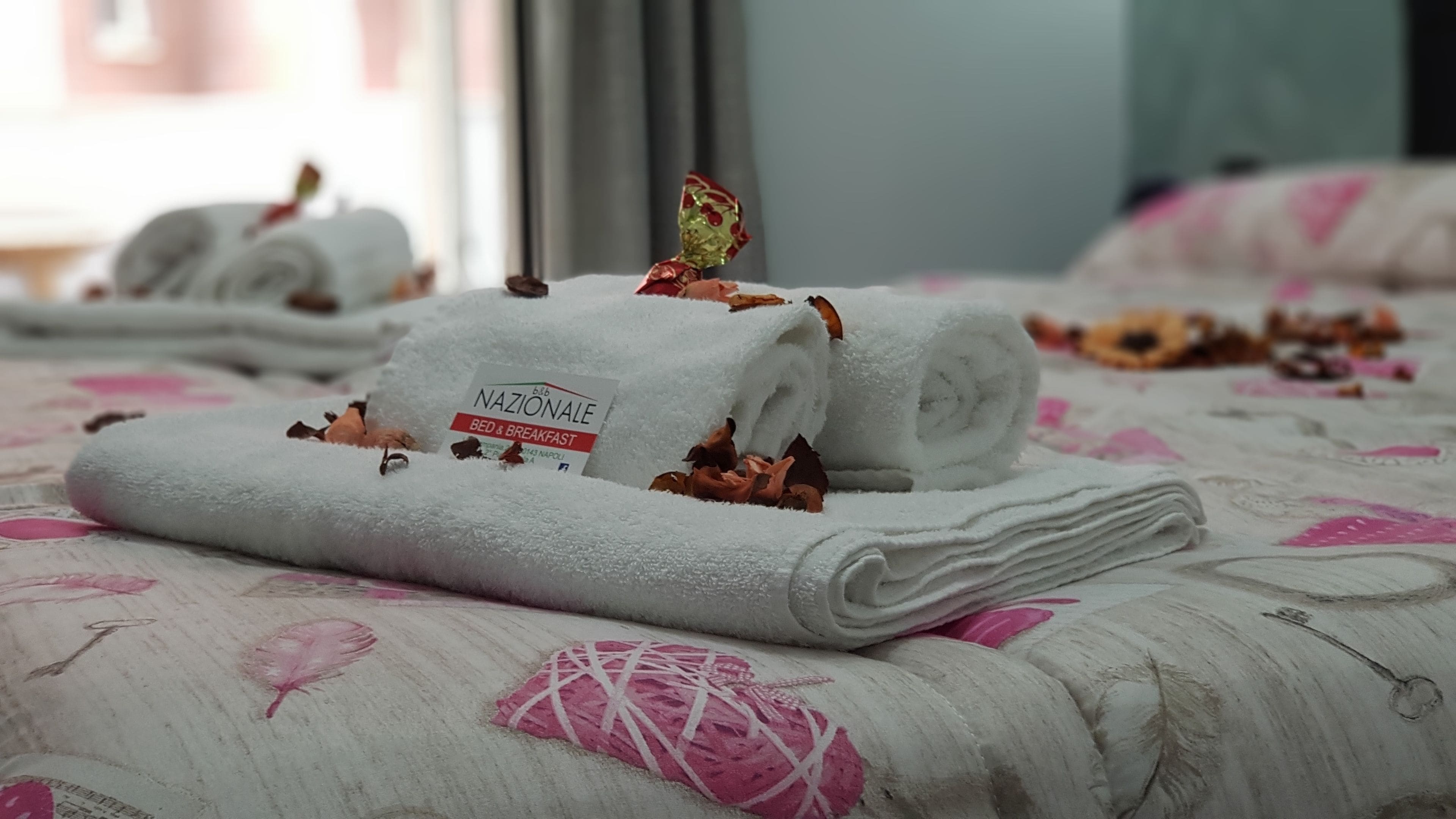 Photo - Nazionale Dream