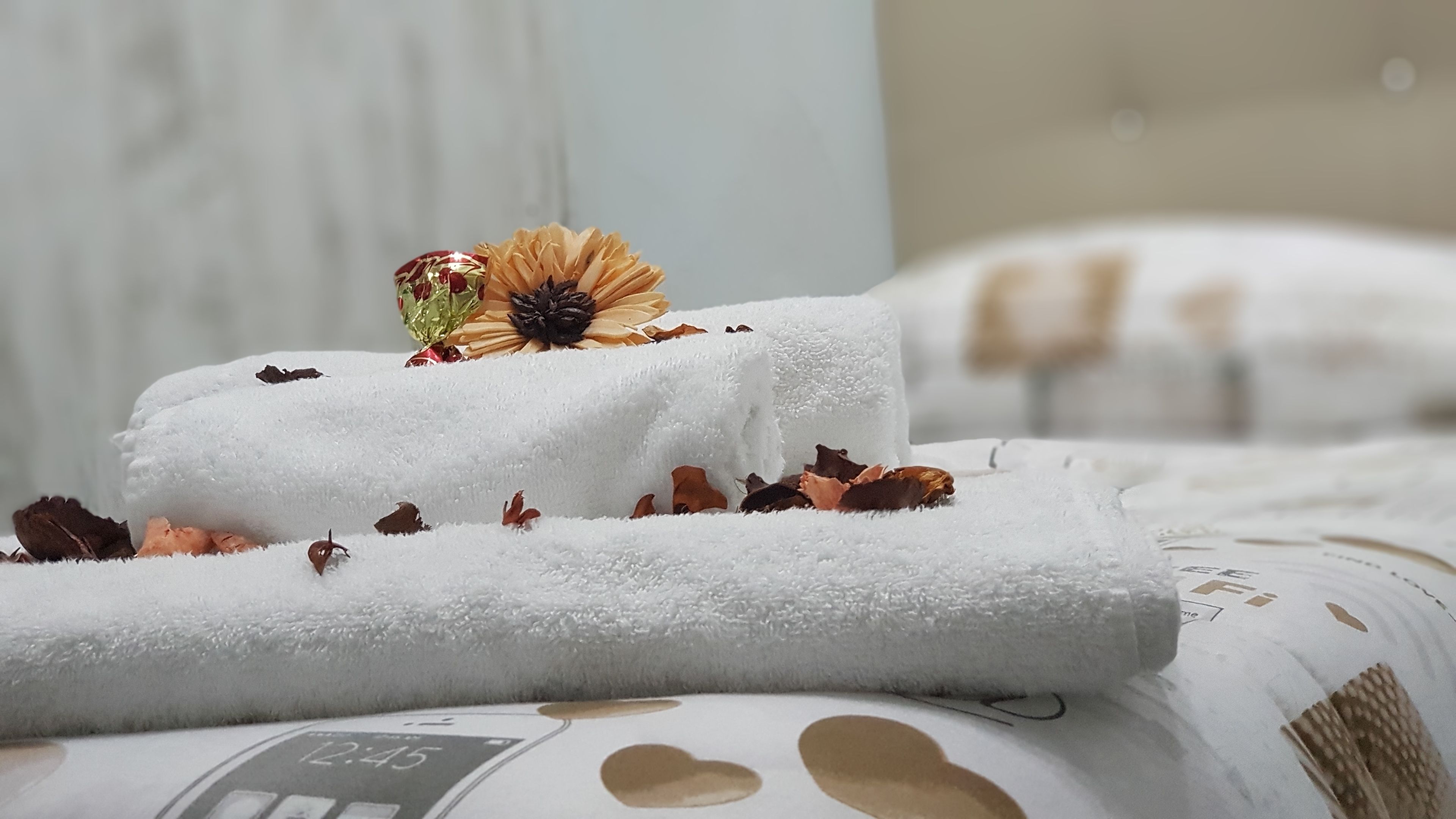 Photo - Nazionale Dream