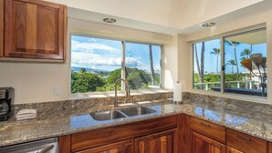 A kitchen with granite countertops, wooden cabinets, a stainless steel sink, and large windows offering a view of palm trees and a beach.