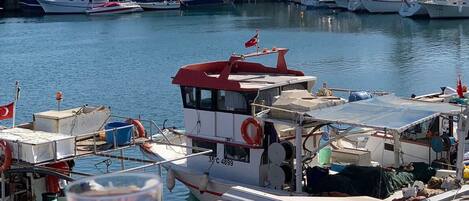 A marina with boats docked, a table with a plate of food and a cup, and a view of buildings in the background.