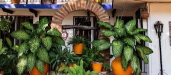 Hotel Mision y Spa Acapulco