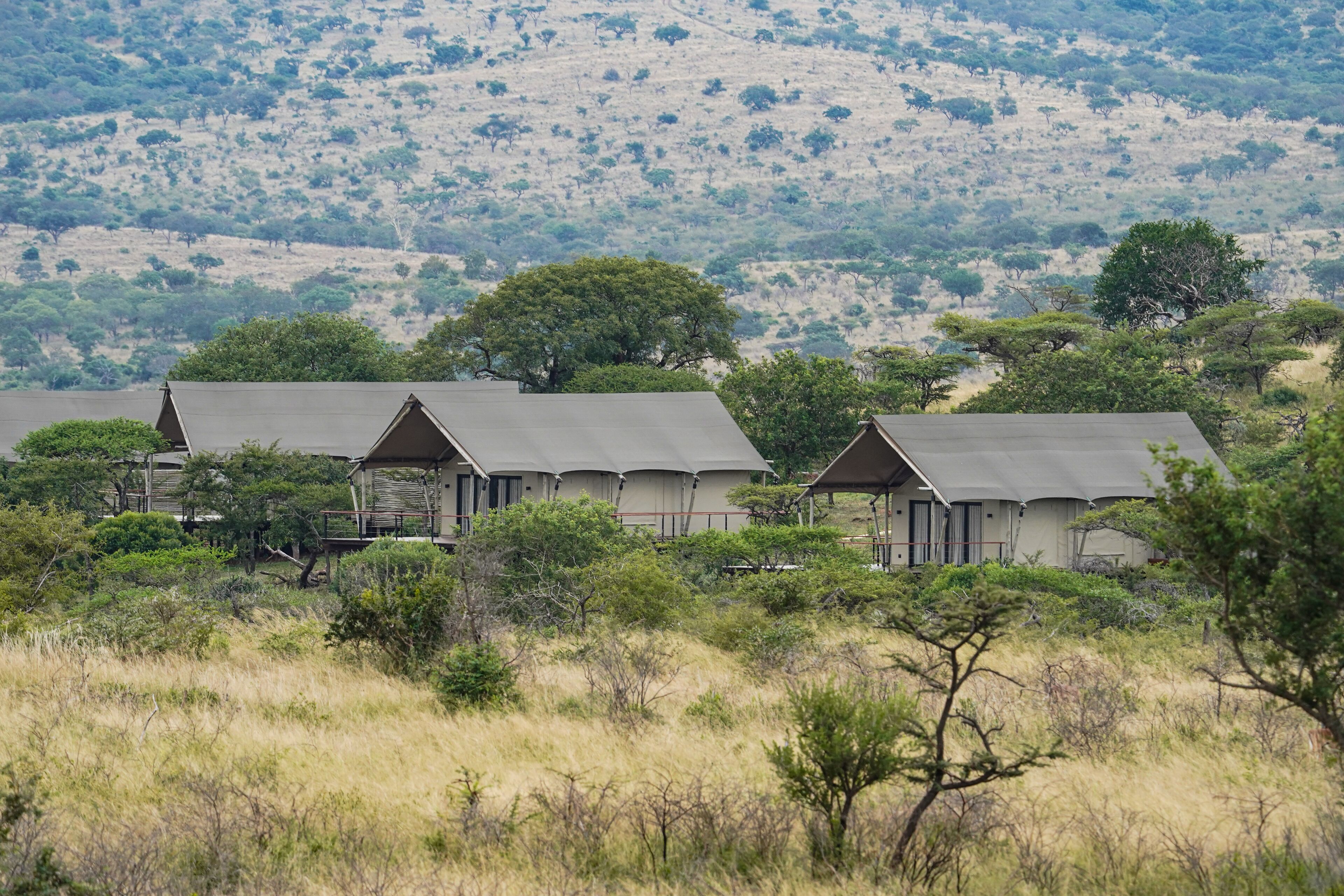 A row of safari lodges with a hillside backdrop.