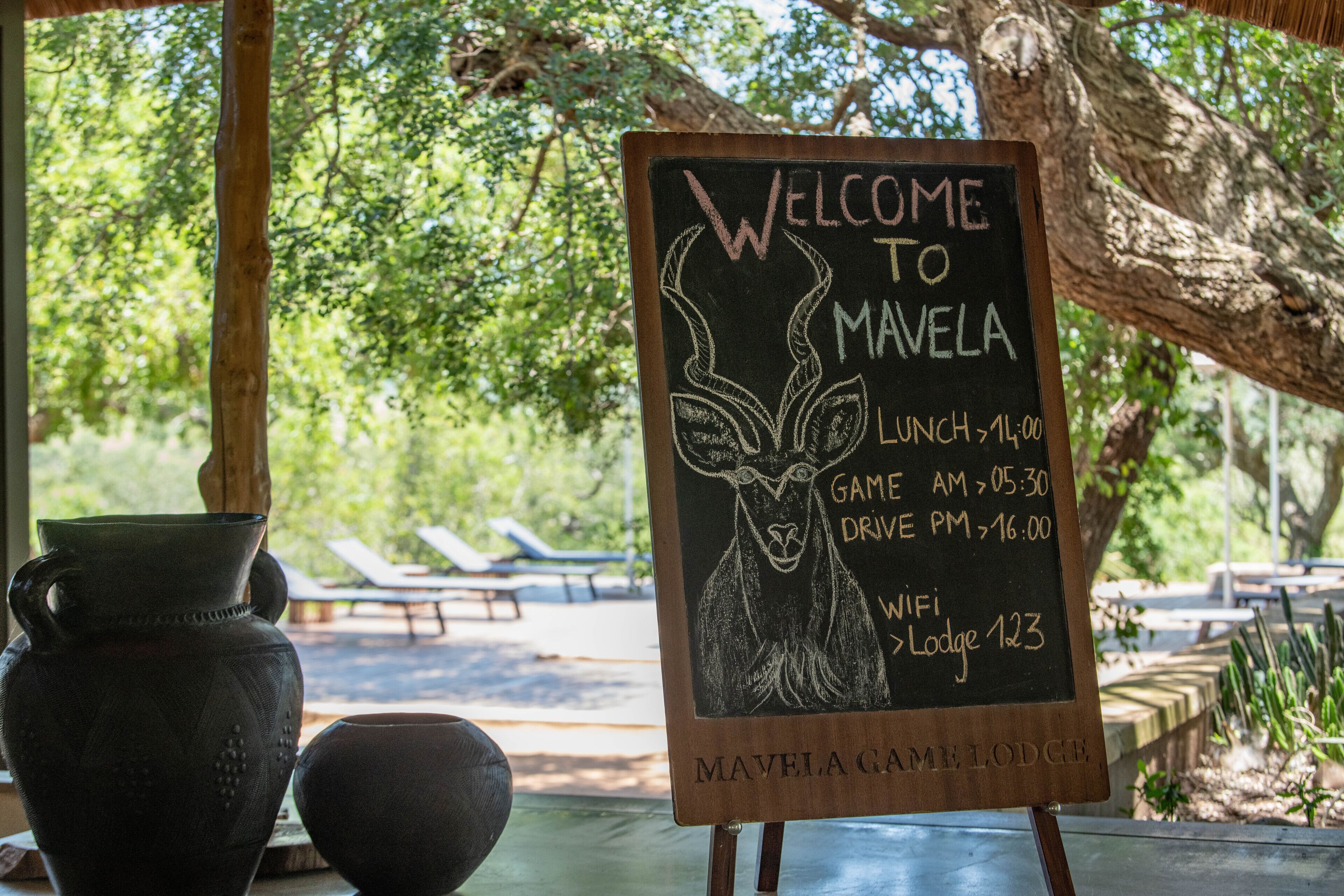 A chalkboard sign with a llama illustration, listing the Mavela Game Lodge's lunch, game, and drive times, along with WiFi and lodge number.