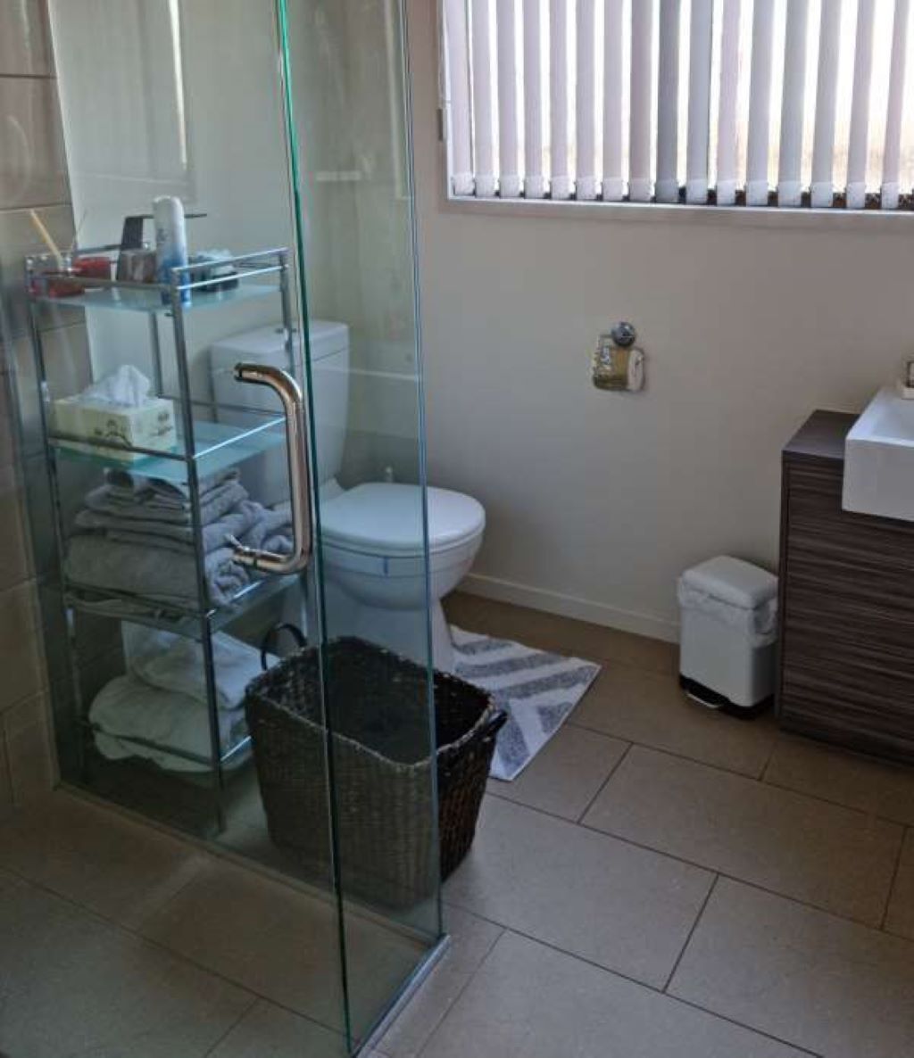 Un baño con cabina de ducha de vidrio, inodoro, un cubo de basura pequeño y un armario de madera.
