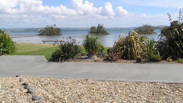 A landscaped area with a concrete path, pebbles, and various plants.