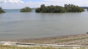 A calm body of water with a small island covered in dense vegetation.
