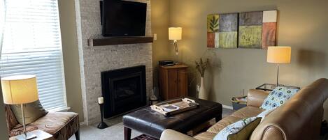 Téléviseur, foyer, lecteur de DVD, livres