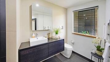 Shower, hair dryer, towels, soap