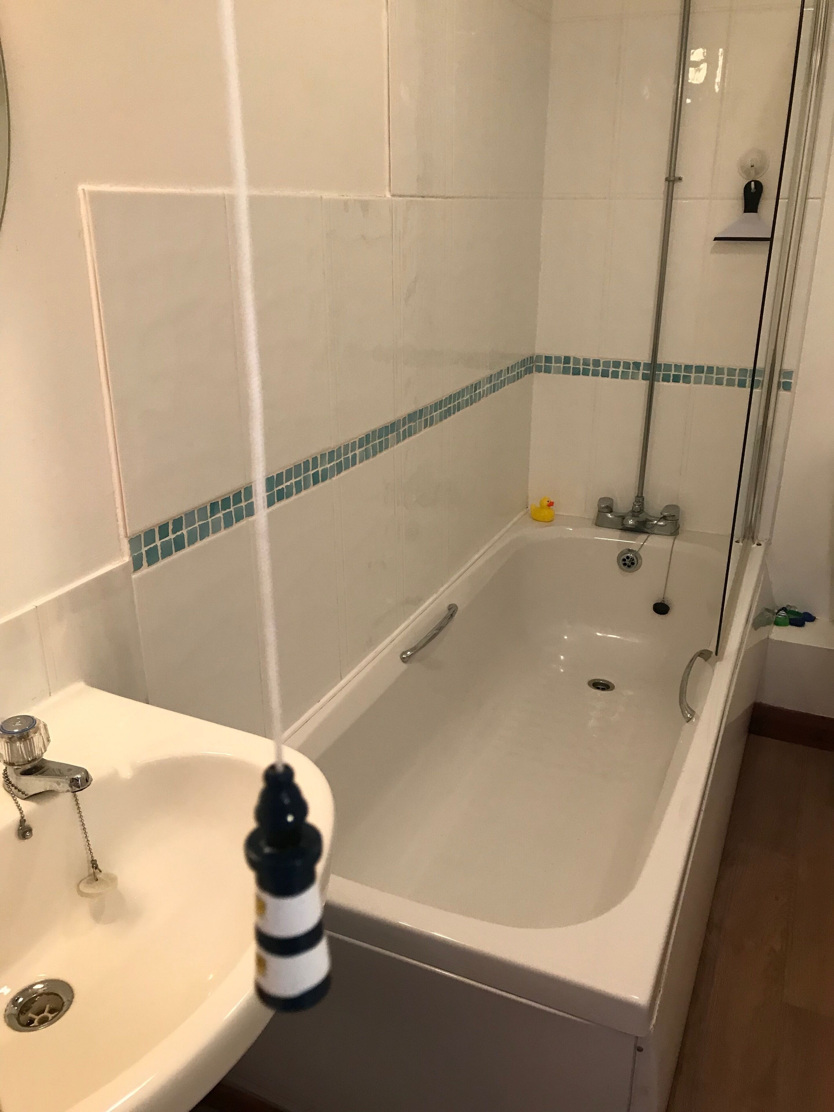 Downstairs Bathroom: Drench shower or bath? No need to bring your own Duck!