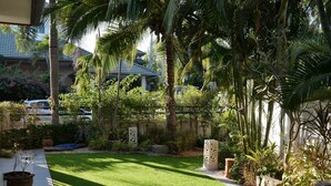 Un jardín bien cuidado con césped, palmeras y diversas plantas.
