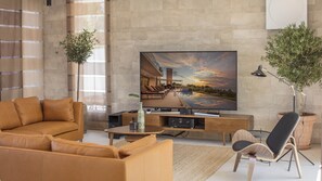 TV, fireplace, video games, DVD player