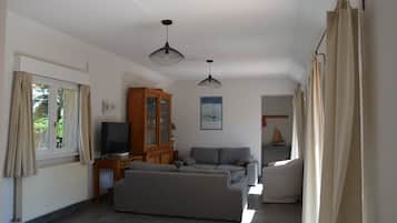 Smart-TV, Kamin, Bücher, Stereoanlage