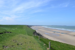 A coastal landscape with a grassy hillside, a sandy beach, and the ocean.