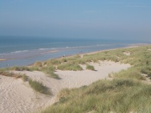 Playa en los alrededores 