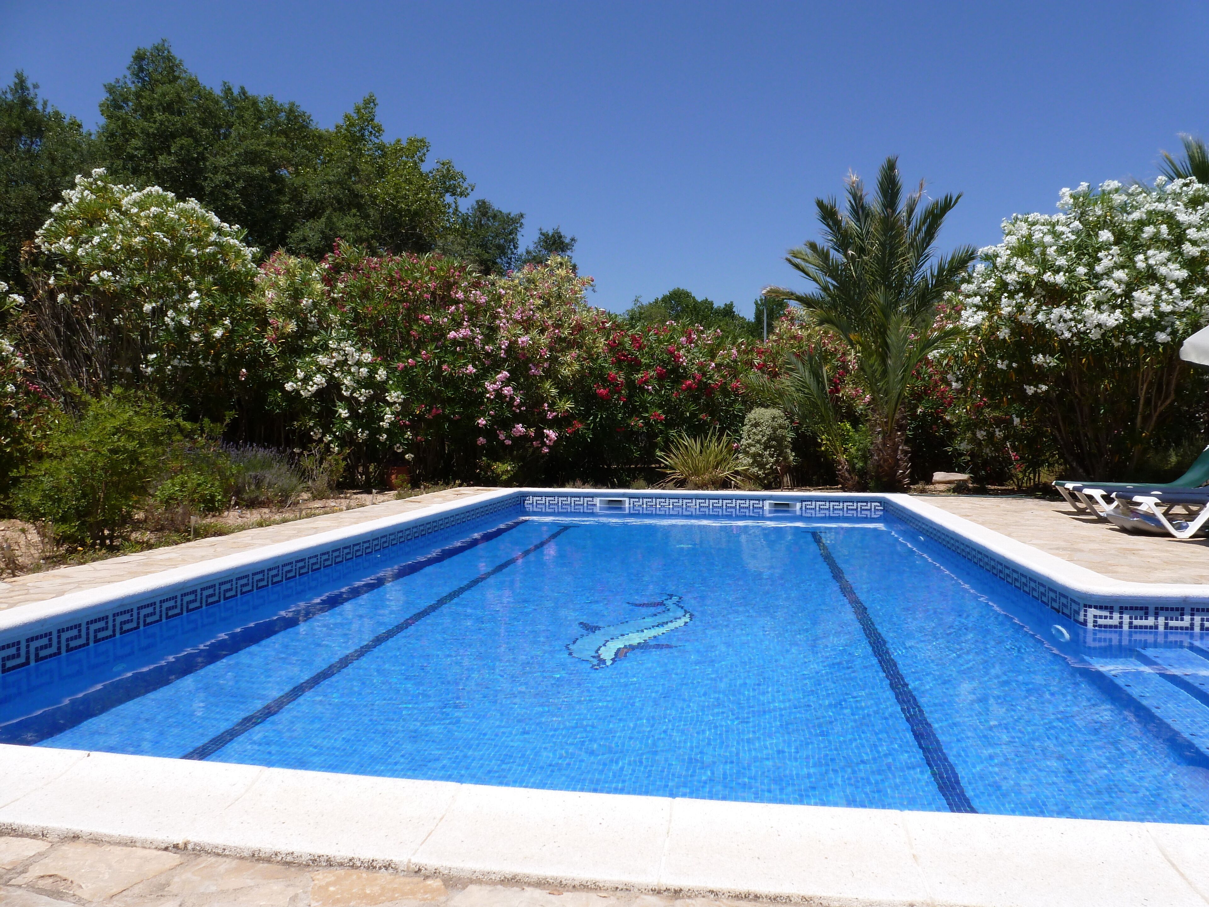 حمّام سباحة خارجي