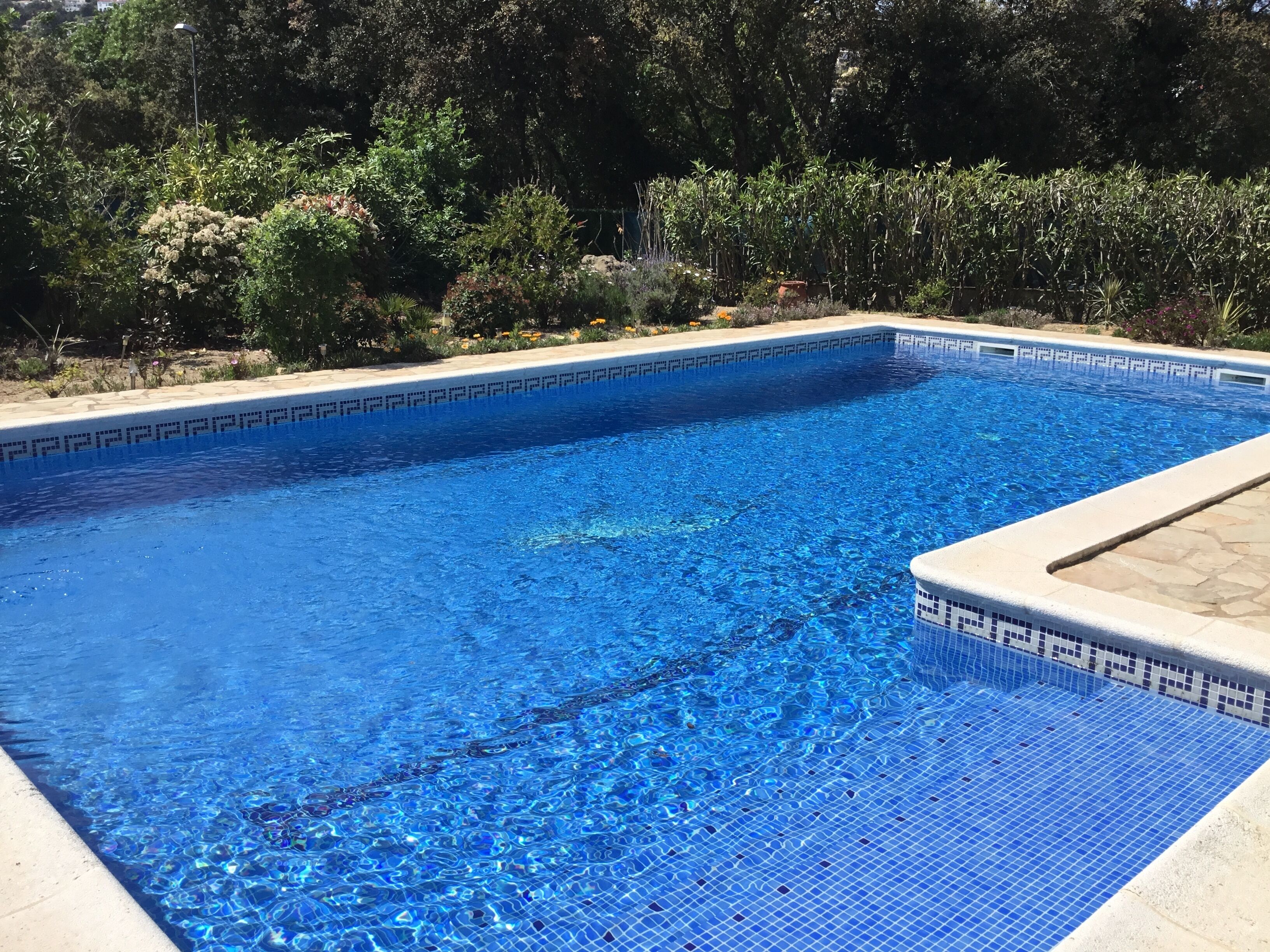 A rectangular swimming pool with clear blue water, surrounded by a tiled edge and a stone border.