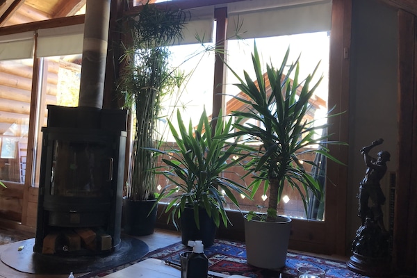 Depuis le salon, vue sur le balcon