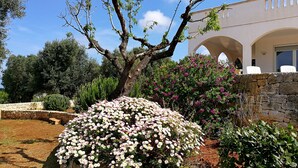 A garden with flowering plants and a stone wall, a tree with bare branches, and a building with arches and white chairs.