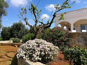 Overnattingsstedets uteområder